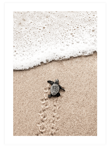 Elegance Beige Poster Seti