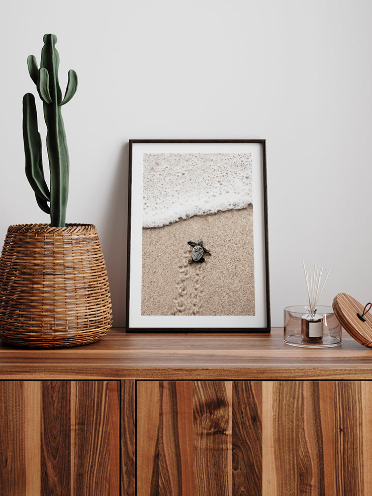 Küçük Kaplumbağa - Art Print  Poster