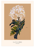 Egon Schiele White Chrysanthemum - Art Print