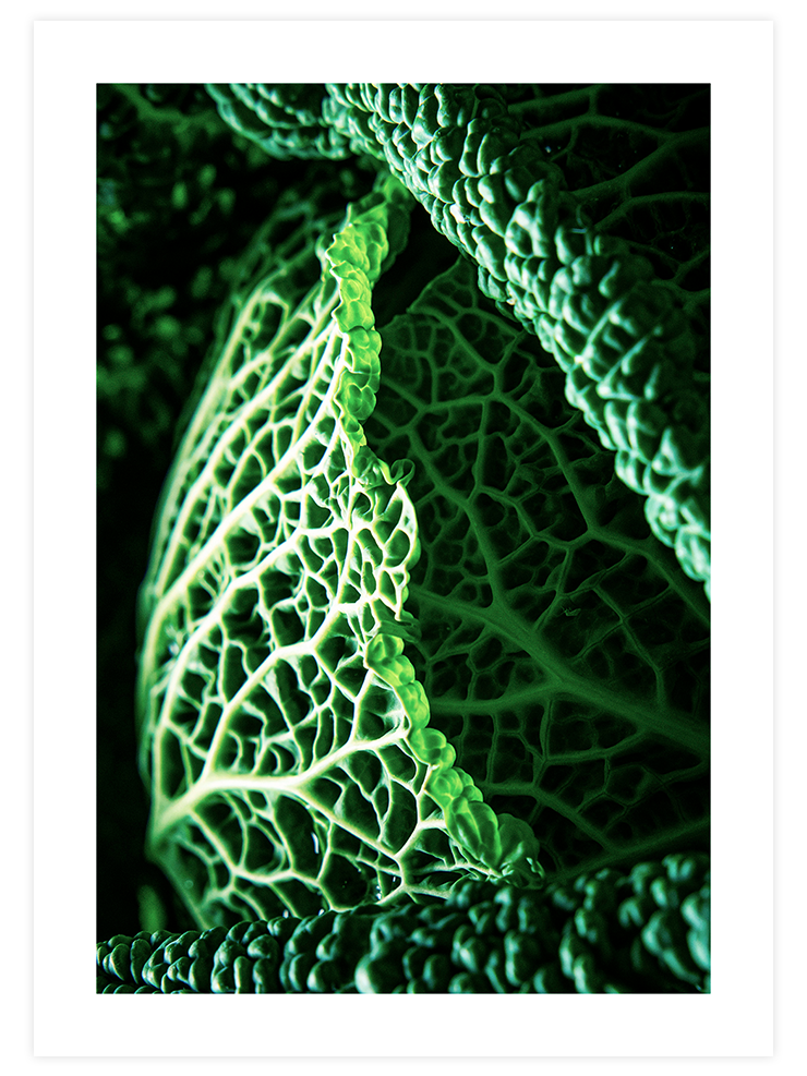Green Cabbage Leaves - Art Print Fotoğraflar Poster