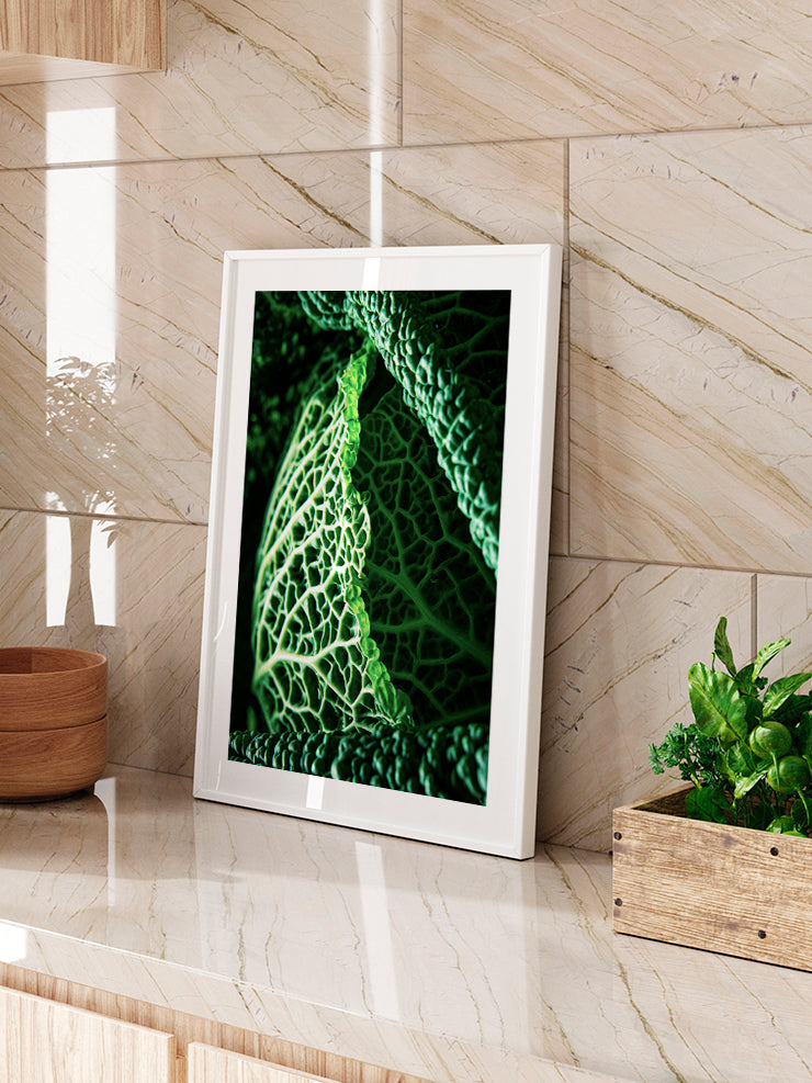 Green Cabbage Leaves - Art Print  Poster