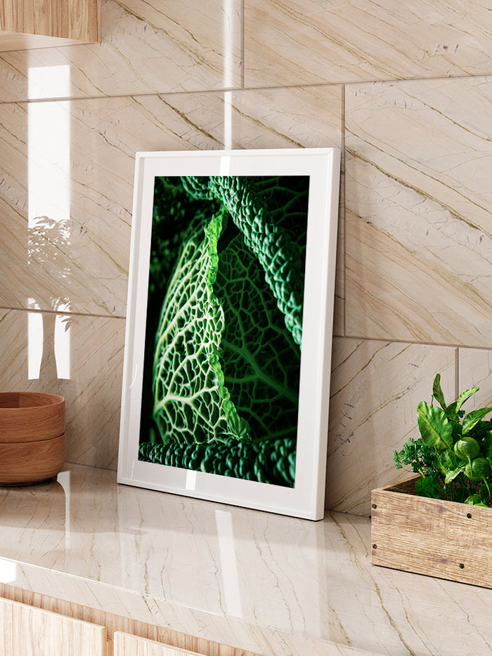 Green Cabbage Leaves - Art Print  Poster
