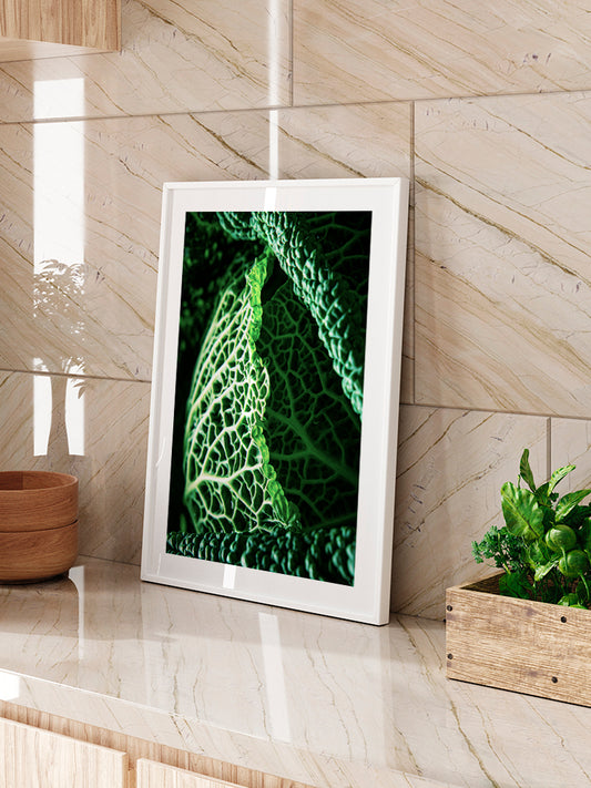 Green Cabbage Leaves - Art Print