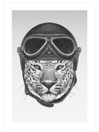 Leopar & Kaplan Pilot - Poster Seti Duo