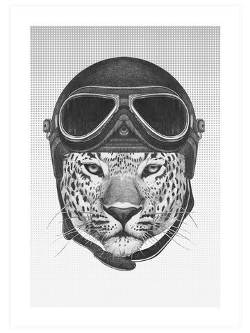 Leopar & Kaplan Pilot - Poster Seti Duo