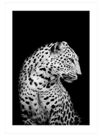 Black & White Touch Poster Seti