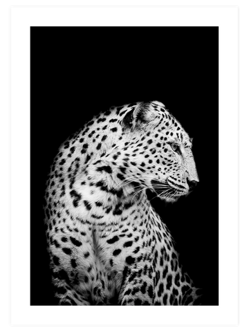 Green Elegance Poster Seti