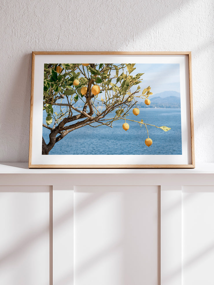 Deniz Manzaralı Limon Ağacı - Art Print Ürün ikincil görseli