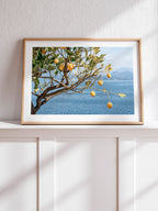 Deniz Manzaralı Limon Ağacı - Art Print