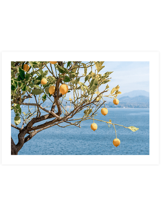 Deniz Manzaralı Limon Ağacı Poster - Giclée Baskı