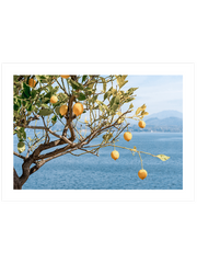 Deniz Manzaralı Limon Ağacı Poster - Giclée Baskı