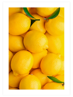 Sarı Limonlar - Art Print