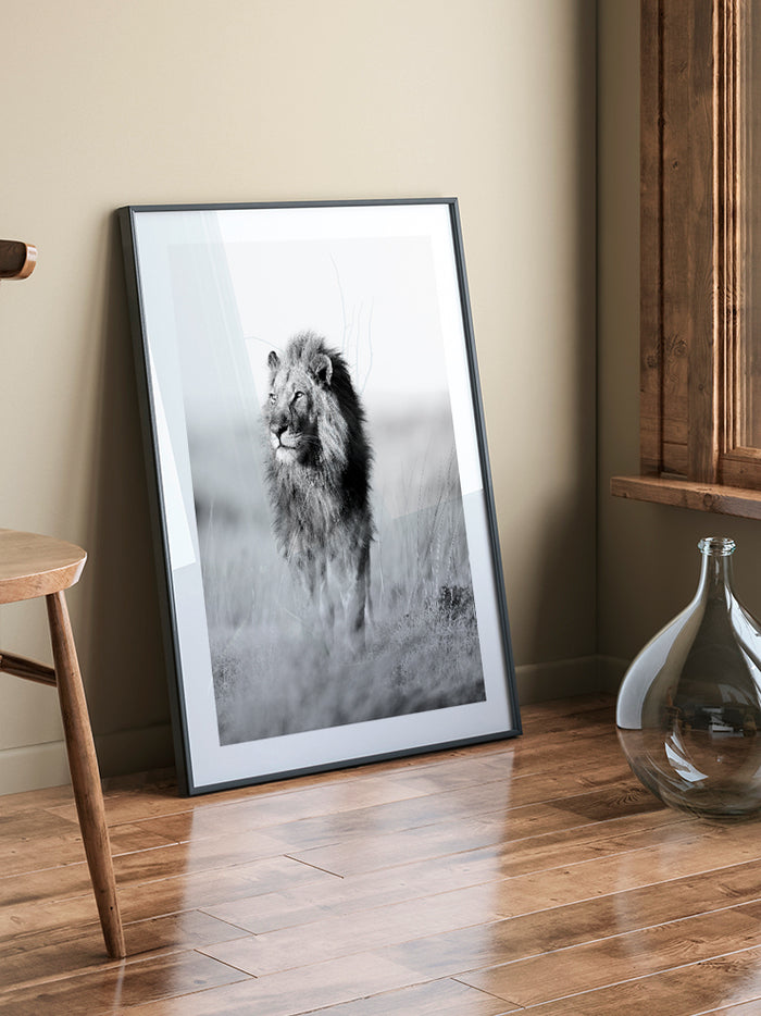 Lion - Art Print  Poster