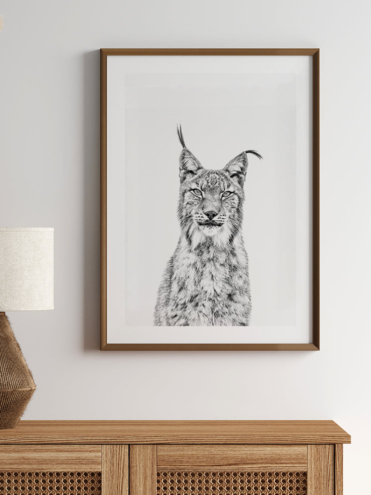 Beautiful Lynx - Art Print