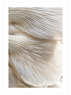 Makro Mantar - Art Print