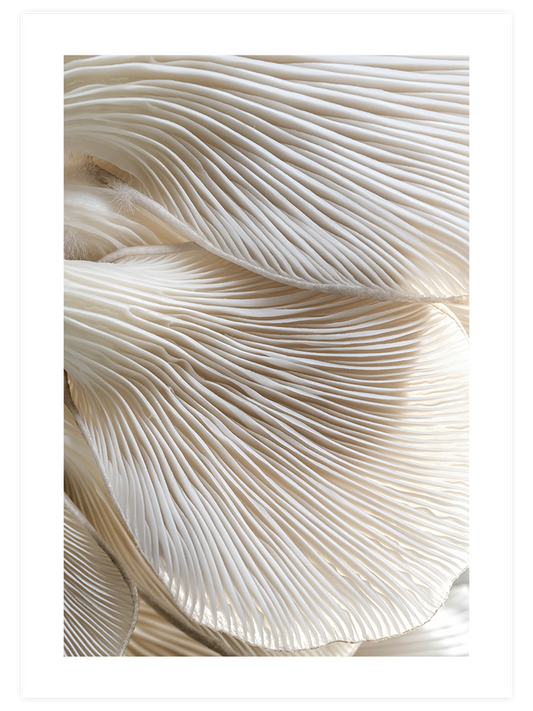 Makro Mantar - Art Print