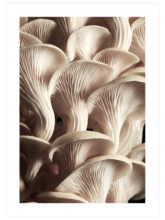 Makro Mantar N2 - Art Print