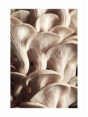 Art Of Gastronomy - Poster Seti Trio