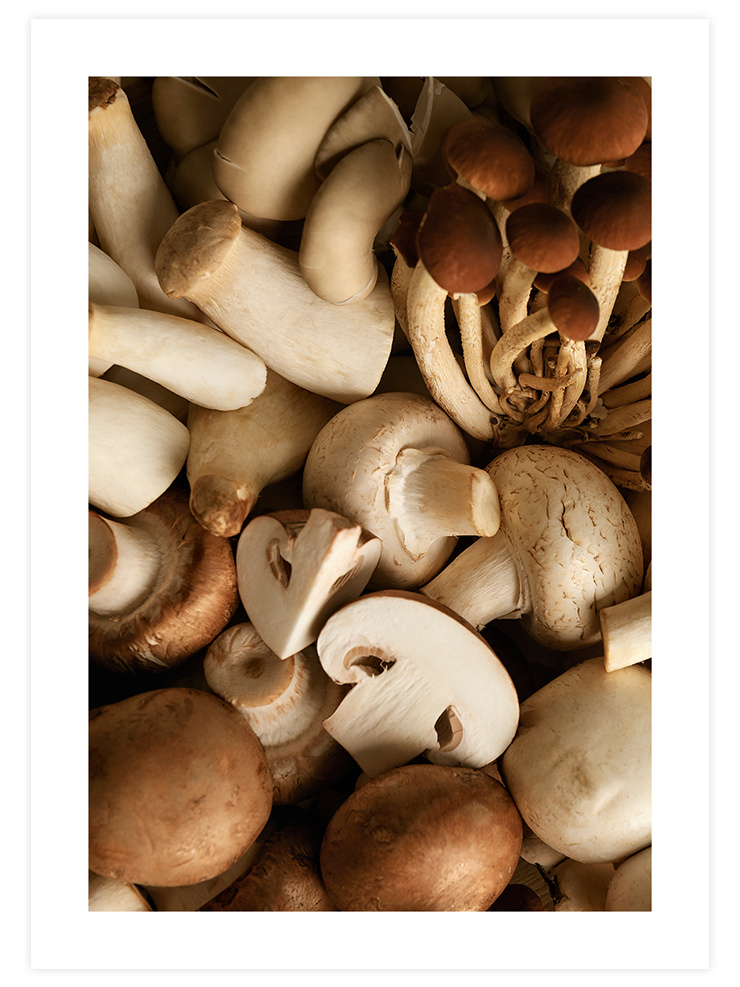 Mantar - Art Print Ürün ana görseli