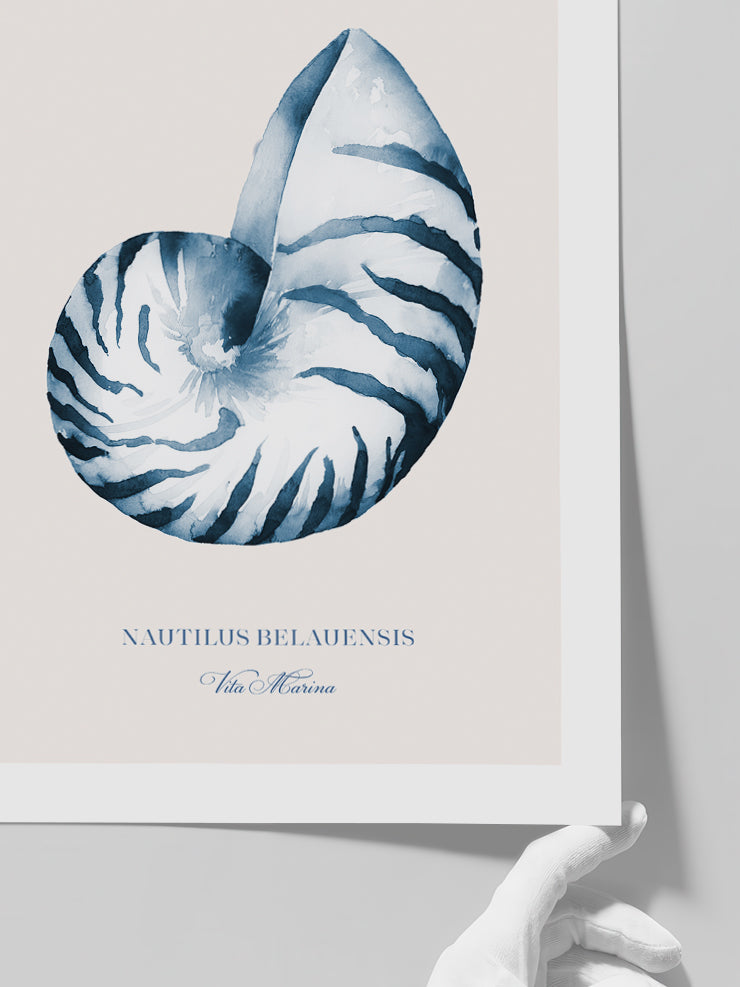 Vita Marina N3 - Art Print  Poster