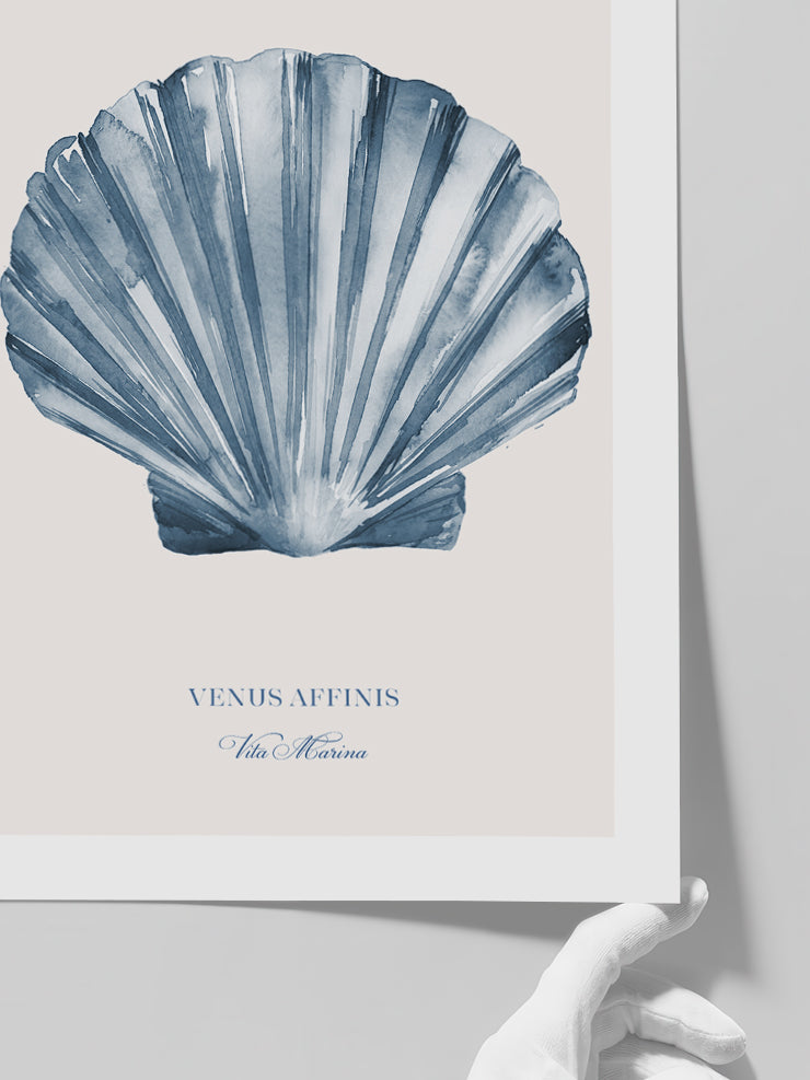 Vita Marina N2 - Art Print  Poster