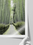 Bambu Yolu - Art Print