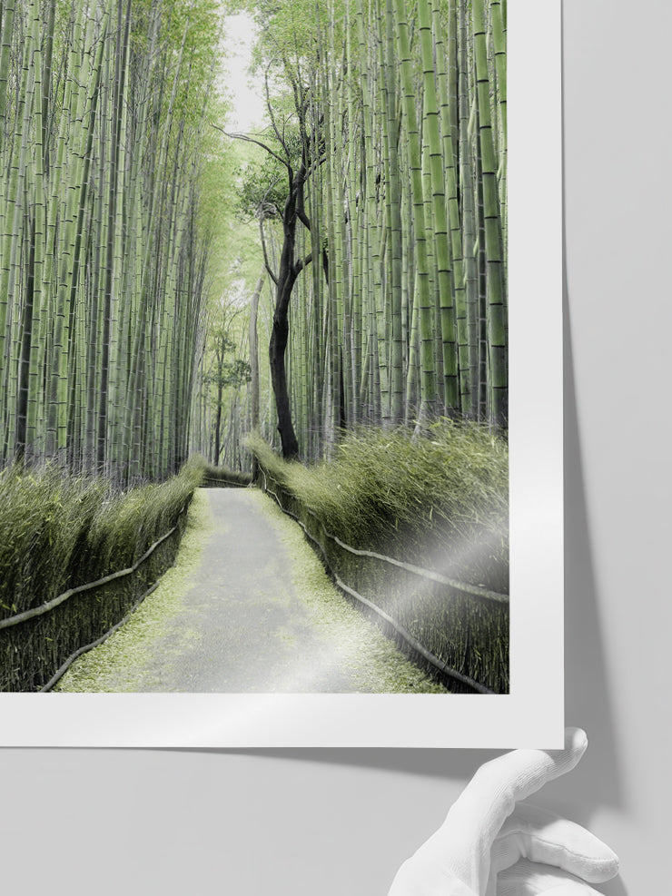 Bambu Yolu - Art Print  Poster