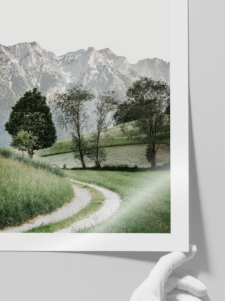 Pathway - Art Print  Poster