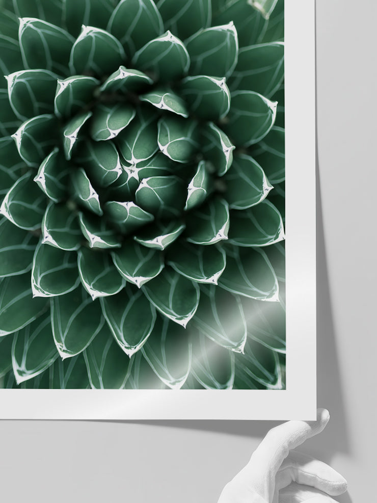 Perfeccion - Art Print  Poster