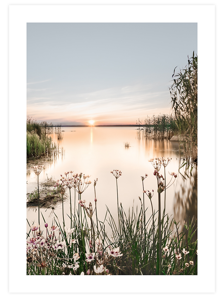 Huzurlu Gün Batımı - Art Print