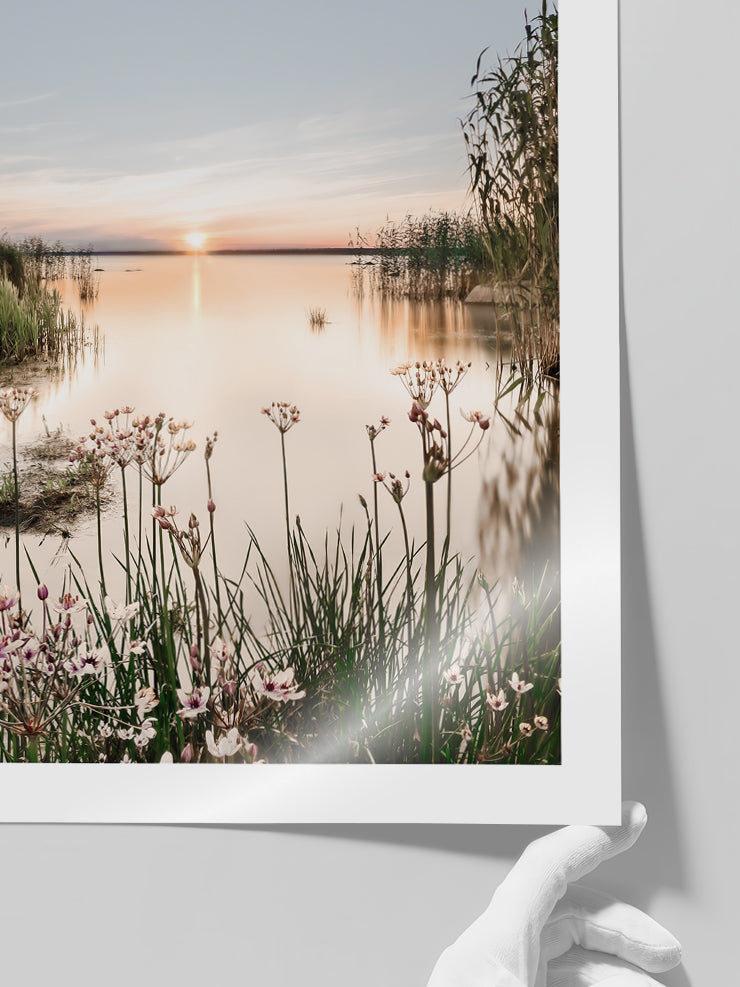 Huzurlu Gün Batımı - Art Print