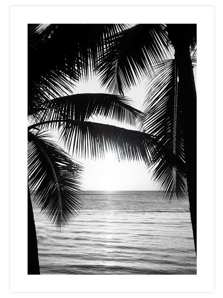 Black & White Touch Poster Seti