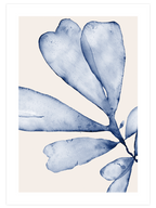 Blue Leaves N3 - Art Print