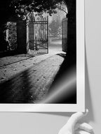 Gün Işığı - Art Print