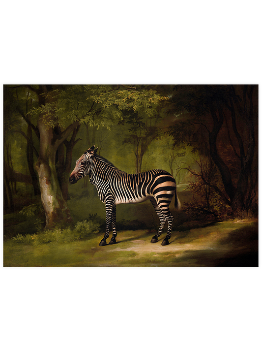 Vintage Zebra Poster - Giclée Baskı