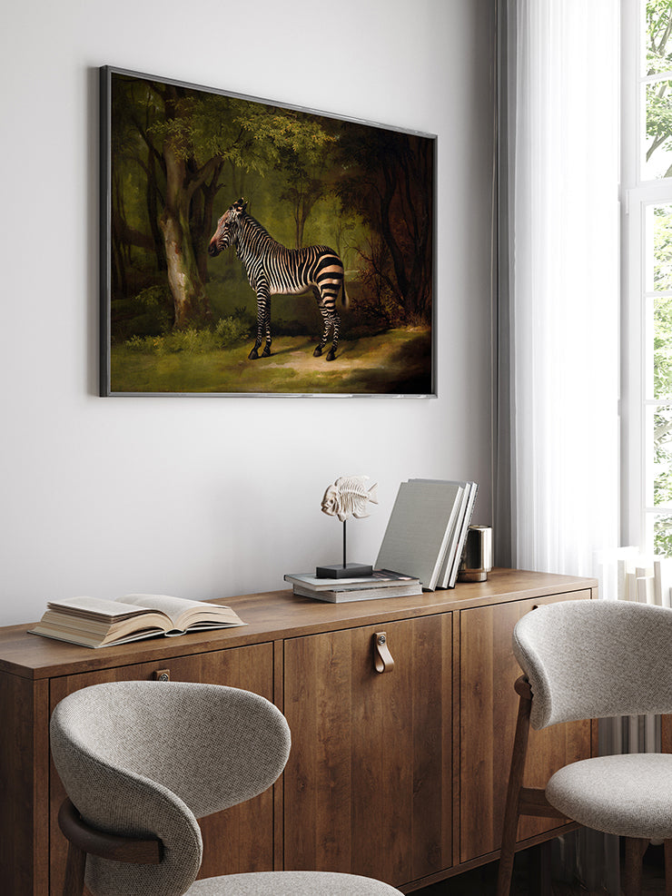 Vintage Zebra - Art Print