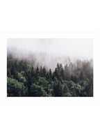 Minimalist Orman - Art Print