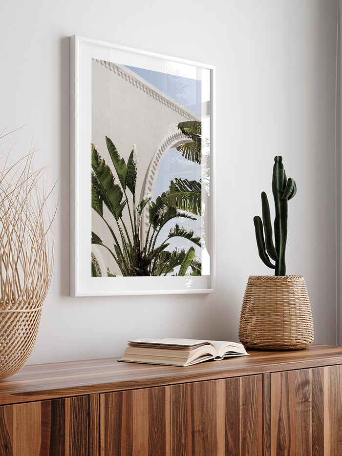 Banana Tree - Art Print  Poster