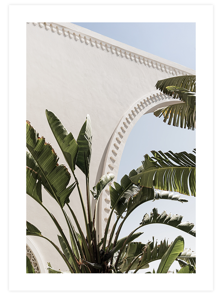 Banana Tree - Art Print Ürün ana görseli