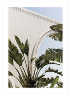 Banana Tree - Art Print