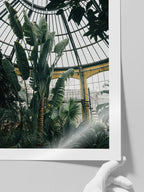 Tropikal Sera - Art Print