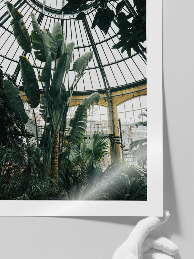 Tropikal Sera - Art Print