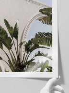 Banana Tree - Art Print