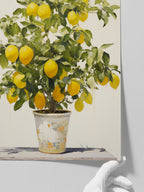 Saksıda Limon Ağacı - Art Print