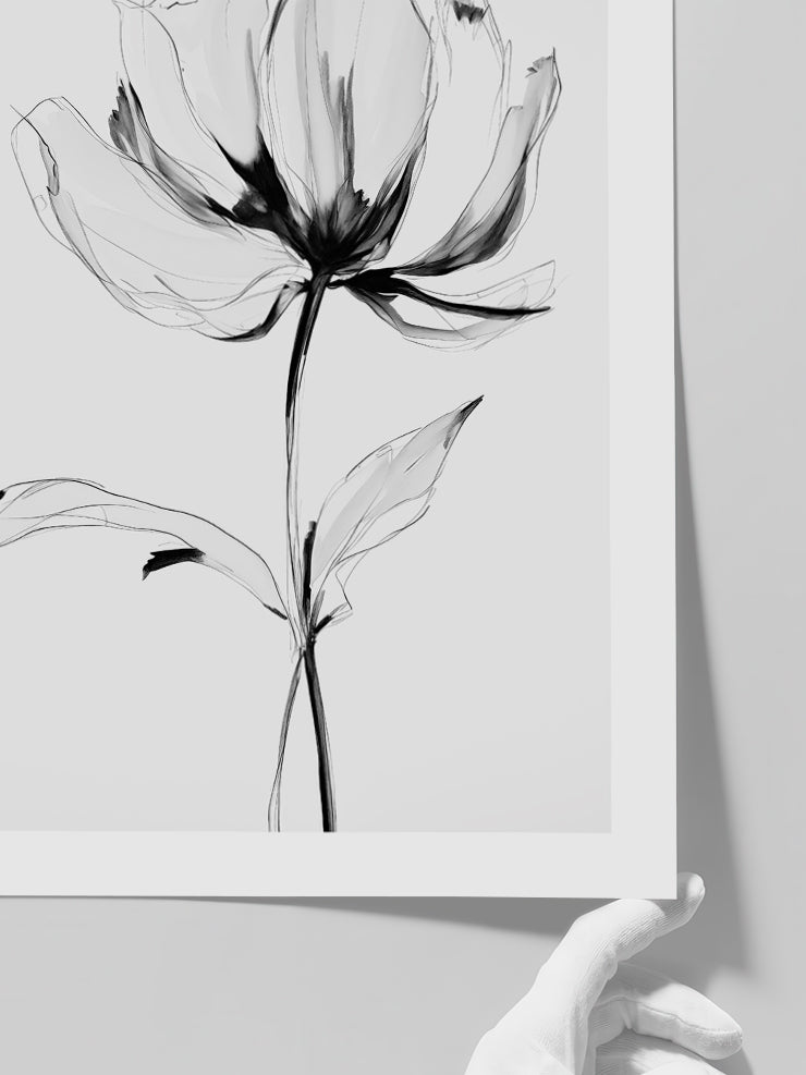 Transparencia N2 - Art Print  Poster