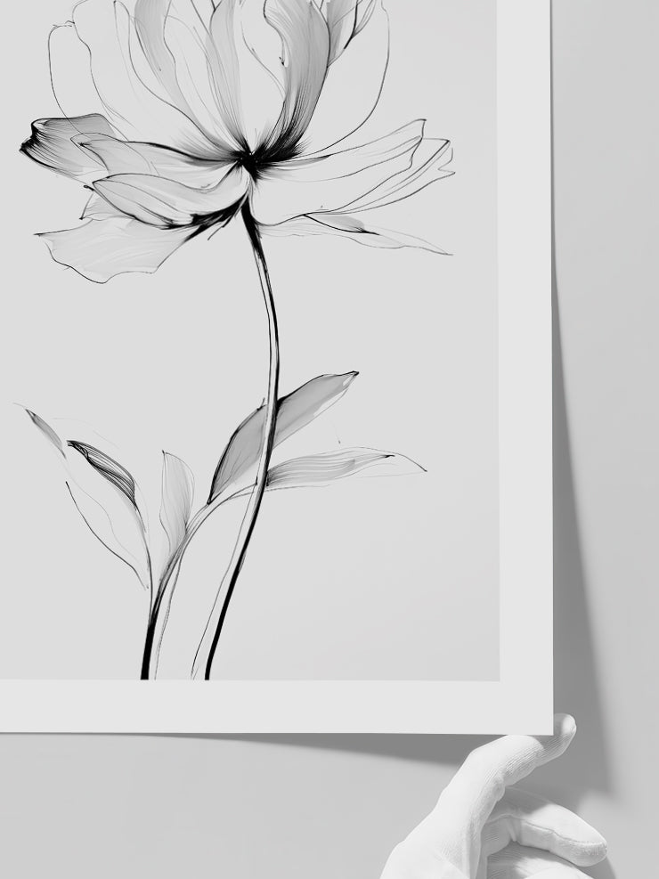 Transparencia - Art Print  Poster