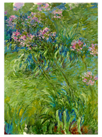 Monet Flowers - Poster Seti Duo
