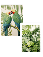 Papağan Çifti - Poster Seti Duo