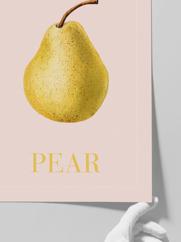 Pear - Art Print  Poster