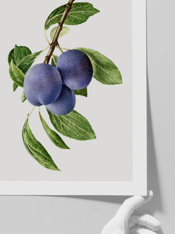 Erik - Art Print